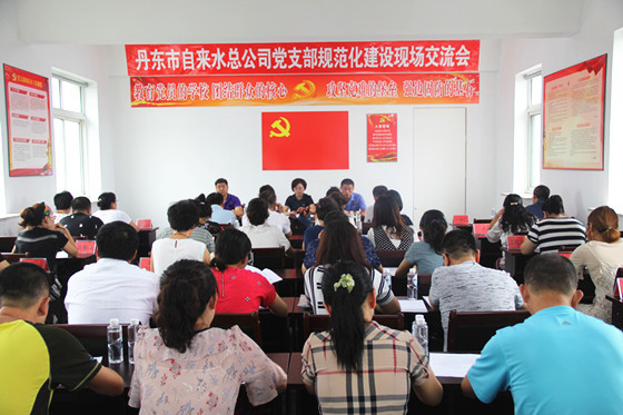 黨支部規范化建設交流_副本